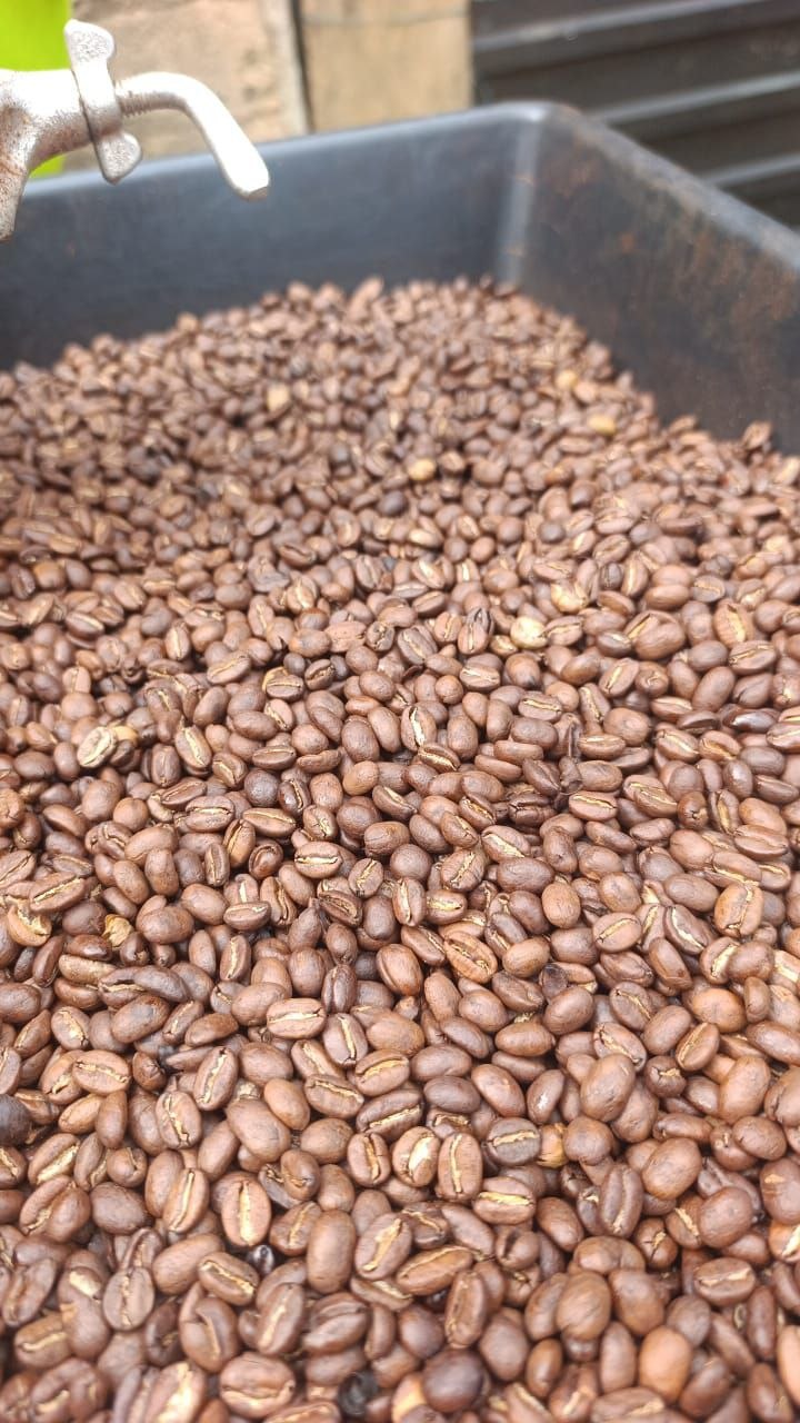 Granos de café tostados listos para empaque